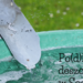 „PO(D)LEJ DESZCZEM W&nbsp;SOSNOWCU” – trwa nabór wniosków