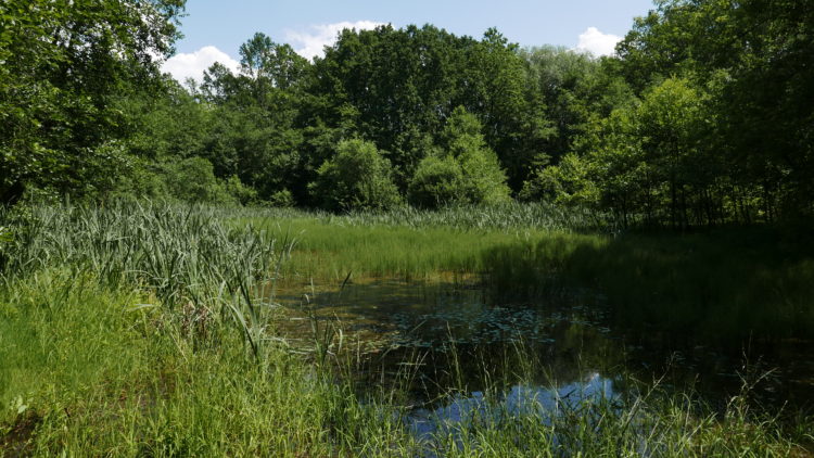 Herbatka i&nbsp;Cioch