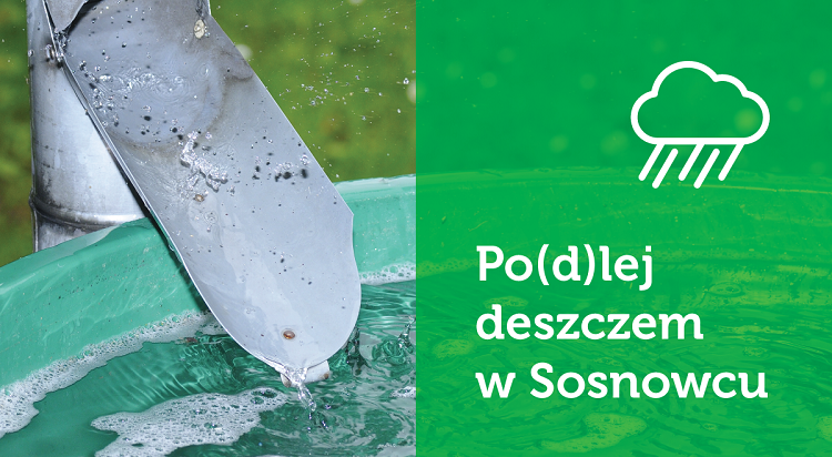 Kolejne projekty wykorzystujące deszczówkę. Będzie też więcej pieniędzy na&nbsp;„Podlej deszczem”