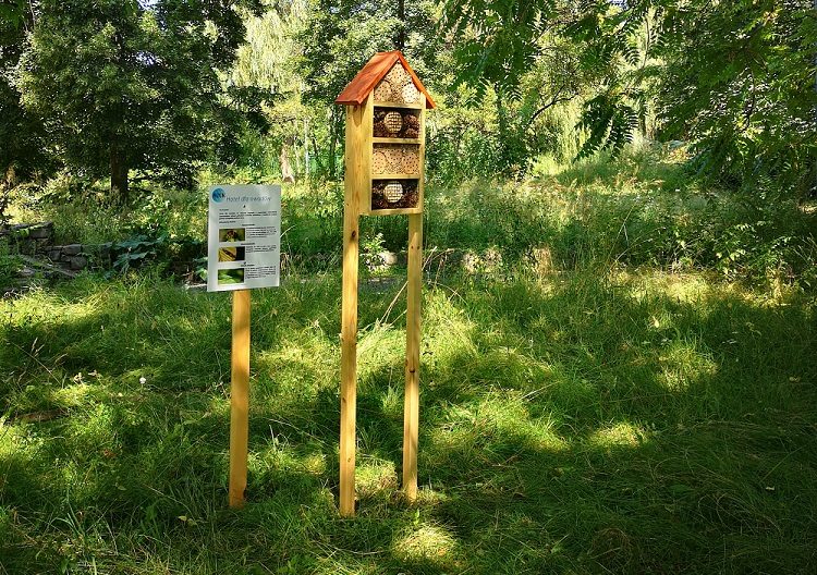 Sosnowiec stawia hotele dla owadów