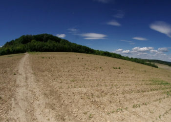DOROTKA – część pierwsza