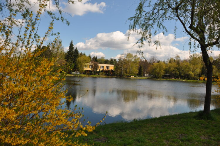 Wiosna w&nbsp;parku Kuronia w&nbsp;Kazimierzu Górniczym