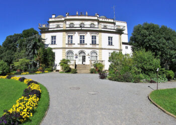 Profesor Władysław Szafer