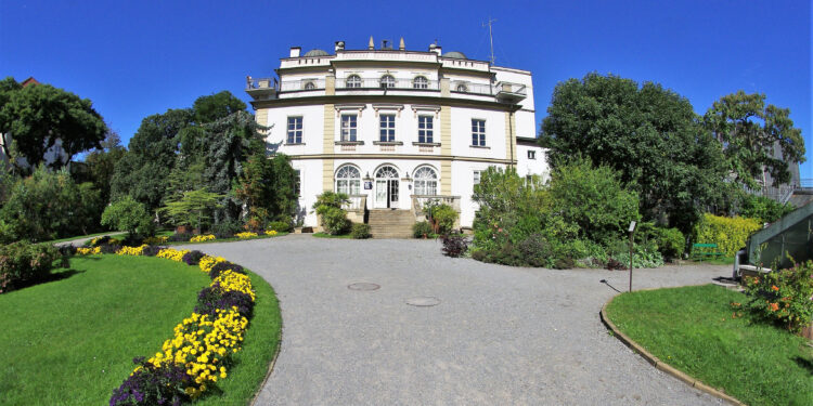 Profesor Władysław Szafer