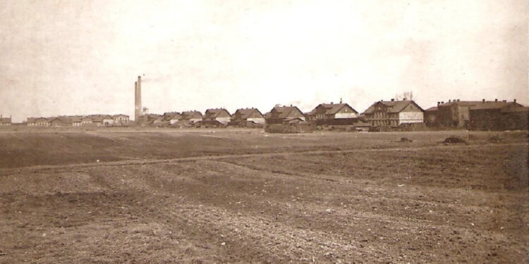 Metamorfoza ulicy Mieroszewskich