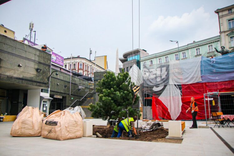 Na&nbsp;Patelni zrobiło się zielono