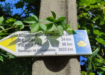 Via Regia w&nbsp;Sosnowcu – część 1