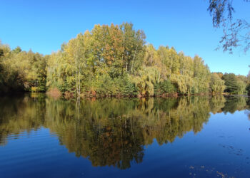 Via Regia w&nbsp;Sosnowcu – część 2