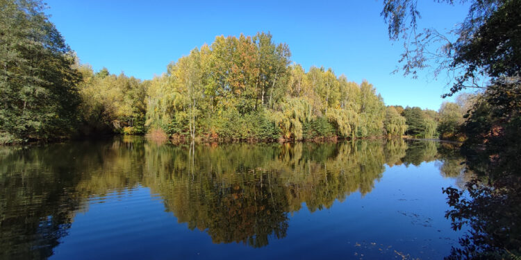 Via Regia w&nbsp;Sosnowcu – część 2