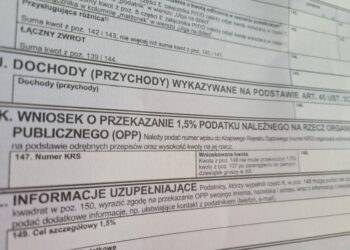 Zostaw swoje 1,5 procenta w&nbsp;Sosnowcu. Oto lista naszych OPP