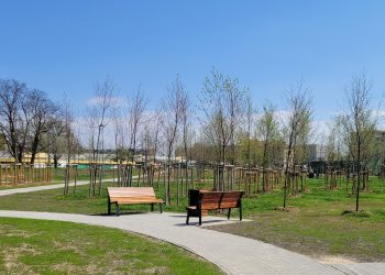 Festyn na&nbsp;otwarcie nowego parku