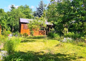 Działkowcy mogą składać wnioski o&nbsp;dotacje