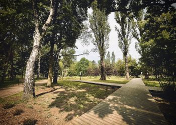 Sosnowiec powiększa ogród botaniczny