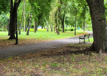 Park za&nbsp;Kolorową do&nbsp;rewitalizacji. Jest umowa