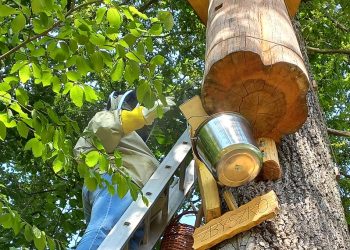 Z&nbsp;Mortimera na&nbsp;Kazimierz leśnymi ścieżkami – cz.&nbsp;3