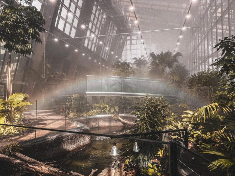 Znamy godziny otwarcia i&nbsp;ceny biletów w&nbsp;nowym Egzotarium