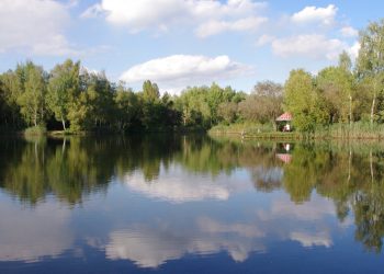 Z&nbsp;Mortimera na&nbsp;Kazimierz leśnymi ścieżkami – cz.&nbsp;4