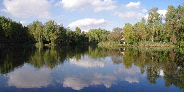 Z&nbsp;Mortimera na&nbsp;Kazimierz leśnymi ścieżkami – cz.&nbsp;4