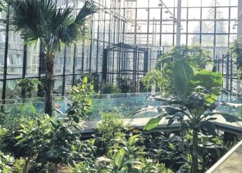 EGZOTARIUM BIJE REKORDY