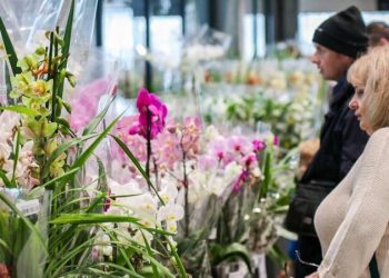 Dni Orchidei i&nbsp;Roślin Egzotycznych powracają do&nbsp;egzotarium