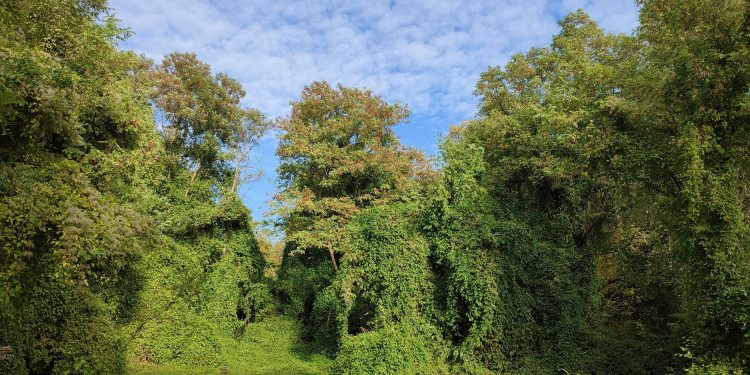 Kamienną na&nbsp;Kamionkę cz.&nbsp;2