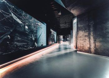 Zajrzyj do&nbsp;Egzotarium pod&nbsp;osłoną nocy