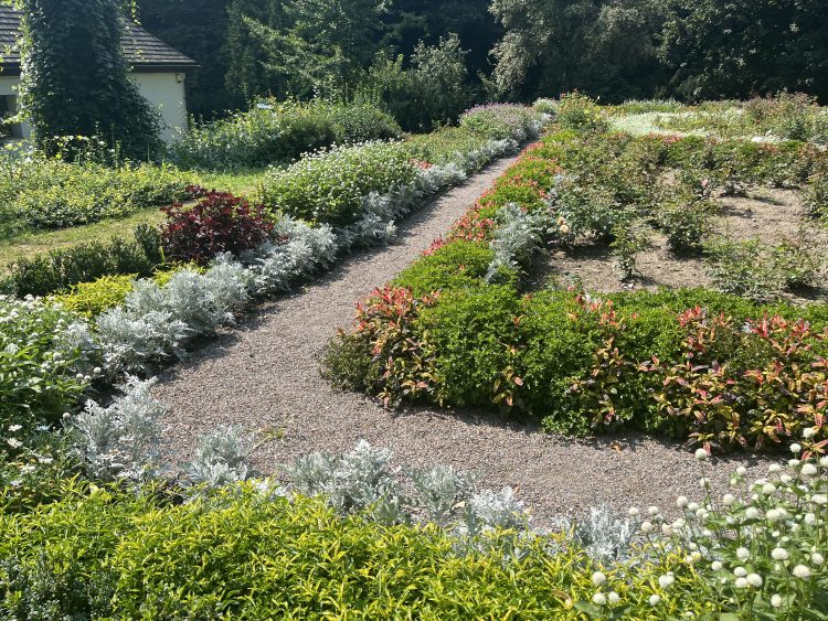 Ogródki działkowe nie&nbsp;zostaną zlikwidowane