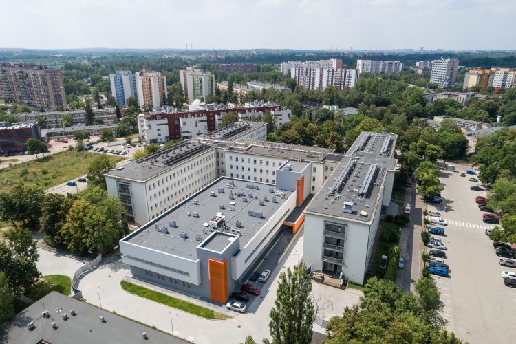 Dawno temu w&nbsp;Lasku Sosnowieckim