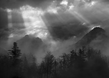 „Między okiem a światłem” – wystawa fotografii Janusza Lecha Wojcieszaka