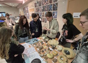 Geopiknik na&nbsp;Żylecie już po&nbsp;raz piąty