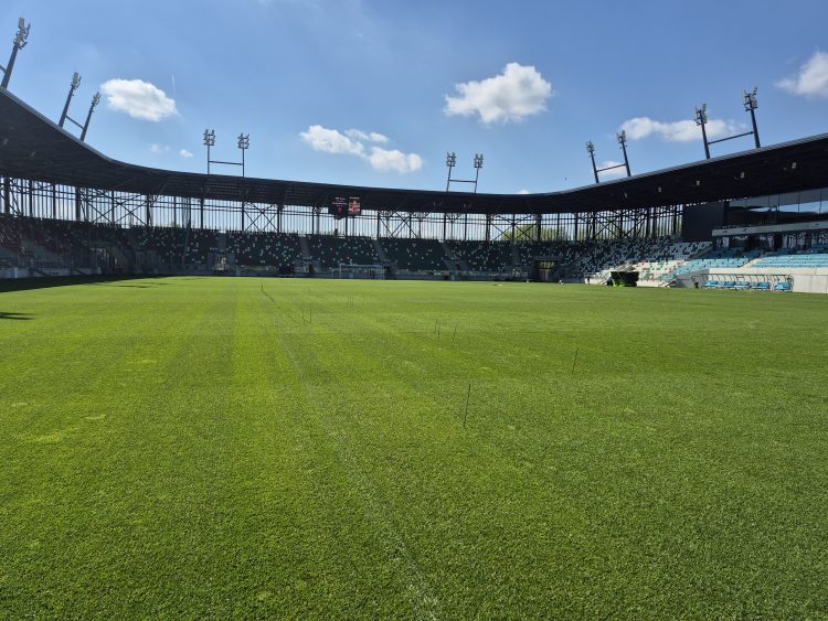 ArcelorMittal Park z&nbsp;hybrydową murawą z&nbsp;najwyższej półki