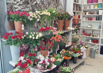 Sofi Flora w&nbsp;Centrum Handlowym Plejada